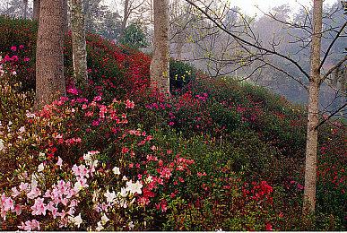 《死亡循环》主角配音玩不到游戏 B社大佬愿送PS5